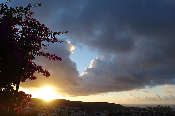 포토 JPG 해외이미지 식물 꽃 바다 여행 자연 하늘 날씨 휴가 산 사람없음 빛 태양 평화 일출 정원 꿈 스페인 마법 천국 해외포토 자연요소 유럽 컨셉 노을 생태계 파일형식 이미지허브