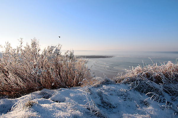 포토 JPG 해외이미지 구름 계절 길 바다 여행 크리스마스 겨울 조류 하늘 풍경 사람없음 물 파란색 탑 얼음 절벽 추위 바위 흰색 잡초 재산 가장자리 서리 아일랜드 대서양 고립 옛날 해외포토 자연요소 식물 동물 건축물 기념일 유럽 컬러 금융 돌_바위 둘레 파일형식 이미지허브
