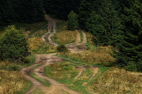 포토 JPG 해외이미지 나무 공원 유럽 도로 길 여행 백그라운드 자국 자연 하늘 날씨 산 파노라마 사람없음 야외 목재 초록색 파란색 뷰티 환경 맑음 트래킹 하이킹 시골 소나무 황무지 숲 먼지 장면 내추럴 루트 방법 삼림지대 선로 우크라이나 해외포토 식물 공공시설 나라 컬러 재료 교통시설 레저 촬영기법 생태계 파일형식 이미지허브