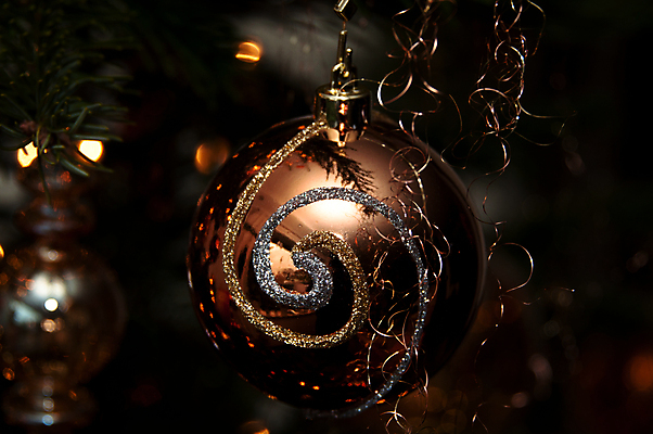 포토 JPG 해외이미지 나무 디자인 계절 행복 리본 백그라운드 크리스마스 겨울 공 유리 휴가 새로움 기념 선물 사람없음 장식 초록색 빛 반사 갈색 축제 기쁨 나뭇가지 축하 인사 소나무 황금 12월 상록수 해외포토 식물 기념일 감정 컬러 컨셉 재질 예절 날짜 파일형식 이미지허브