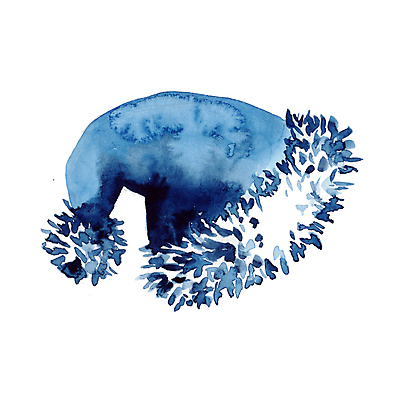 포토 JPG 해외이미지 전통 옷 계절 컨셉 크리스마스 겨울 산타모자 휴가 새로움 털 따뜻함 사람없음 장식 빨간색 산타클로스 파티 머리 유행 흰색 축하 12월 모피 자르기 심볼 오브젝트 싱글 고립 엘리먼트 캡모자 클라우스 해외포토 모자_잡화 기념일 컬러 모션 이벤트 신체부위 날짜 파일형식 이미지허브