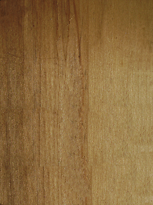 포토 JPG 해외이미지 식물 디자인 백그라운드 패턴 자연 표면 추상 바닥 프레임 사람없음 갈색 쪽지 공백 정보 발표 메시지 플랫 천 묘사 질감 코르크 공지사항 직사각형 내추럴 그런지 수목 스크랩북 옛날 코르크보드 해외포토 도형 컬러 무늬 알림판 직물 생태계 파일형식 이미지허브