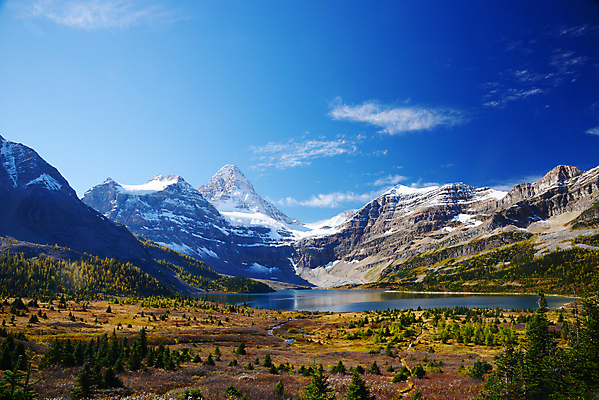 포토 JPG 해외이미지 나무 공원 호수 캐나다 하늘 산 사람없음 파란색 황무지 숲 지역 멀리 밴프 앨버타 절정 로키산맥 해외포토 식물 공공시설 컬러 북아메리카 파일형식 이미지허브
