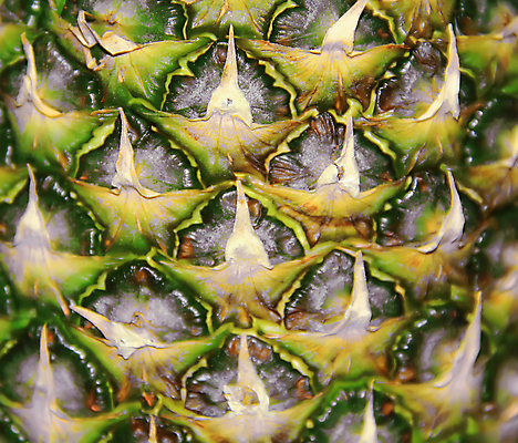 포토 JPG 해외이미지 음식 백그라운드 과일 벽지 추상 디저트 사람없음 컬러풀 먹기 파인애플 질감 숙성 해외포토 컬러 무늬 모션 열대과일 파일형식 이미지허브