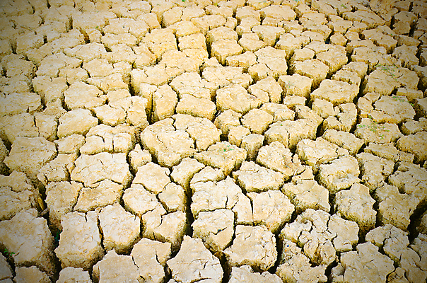 포토 JPG 해외이미지 계절 아시아 지구 음식 섬 농업 태국 자연 밥 건조 동양인 사람없음 초록색 농작물 글로벌 농장 환경 흙 수확 시골 뜨거움 균열 낟알 땅 유기농 먼지 가뭄 내추럴 논밭 땅바닥 밭일 재앙 해외포토 웰빙 나라 산업 컬러 밭 모션 날씨 바닥 논 인종 생태계 파일형식 이미지허브