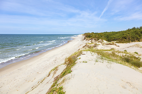 포토 JPG 해외이미지 유럽 모래 바다 여행 자연 하늘 아침 파노라마 국립공원 풍경 사람없음 야외 건물 여름 파란색 일출 맑음 일몰 모래언덕 러시아 스카이라인 동유럽 빛망울 해외포토 주간 건축물 계절 공원 나라 컬러 날씨 촬영기법 빛 노을 언덕 생태계 파일형식 이미지허브