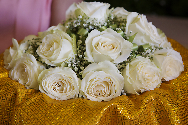 포토 JPG 해외이미지 식물 계절 꽃잎 꽃 종이 분홍색 결혼 백그라운드 꽃무늬 의자 오렌지 자연 휴가 발렌타인데이 선물 사랑 사람없음 목재 장식 세로 초록색 빛 장미 노란색 봄 낭만 벚꽃 흰색 하트 축하 캔 차 냄비 심볼 물주기 내추럴 고립 삽입 해외포토 모양 나무 감정 음료 컬러 가구 컨셉 무늬 과일 재료 모션 데이이벤트 이벤트 솥 생태계 파일형식 이미지허브