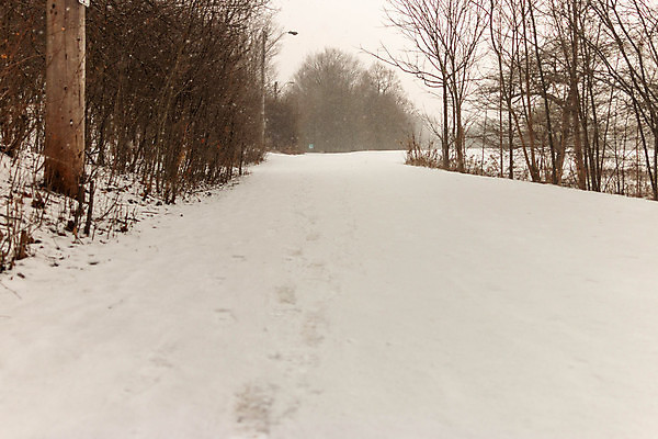 포토 JPG 해외이미지 나무 구름 계절 공원 호수 여행 크리스마스 캐나다 겨울 자연 휴가 영국 산 풍경 사람없음 야외 목재 물 빛 강 달리기 태양 평화 냉동 얼음 꿈 추위 흰색 시골 개울 콜롬비아 숲 서리 장면 태평양 마법 내추럴 눈내림 해외포토 자연요소 식물 공공시설 기념일 유럽 바다 컬러 컨셉 북아메리카 재료 모션 눈_날씨 남아메리카 생태계 파일형식 이미지허브