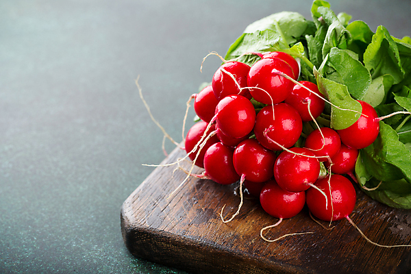 포토 JPG 해외이미지 식물 음식 백그라운드 농업 다이어트 채소 재료 자연 탁자 양파 건강 사람없음 목재 빨간색 초록색 정원 봄 샐러드 수확 성장 신선 그룹 시장 칼 상추 자르기 다발 보따리 유기농 원예 날것 뿌리 흙더미 내추럴 바이오 숙성 채식주의자 총각무 카피스페이스 비건 해외포토 나무 웰빙 계절 산업 컬러 가구 모션 취미 흙 공백 무 생태계 채식 파일형식 더미 이미지허브