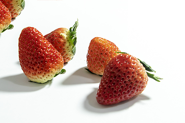 포토 JPG 해외이미지 음식 채소 과일 사람없음 망고 국산 해외포토 열대과일 파일형식 이미지허브