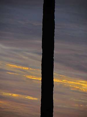 포토 JPG 해외이미지 여행 휴가 휴식 사람없음 여행객 기쁨 추위 도착 출발 케랄라주 해외포토 감정 컨셉 사람 인도_나라 파일형식 이미지허브