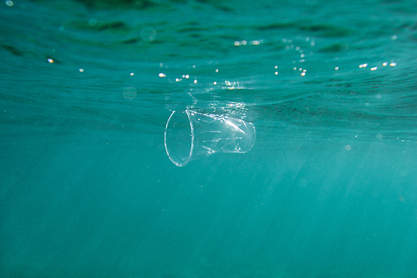 포토 JPG 해외이미지 바다 컨셉 포장 자연 사람없음 컵 물 파란색 환경 수중 재활용 손상 행성 투명 환경오염 오염 산호 보호 쓰레기 폐기물 파편 위험 플라스틱 다이빙 암초 문제 낭비 생태학 해외포토 자연요소 식기 교육 컬러 재질 우주 수영 자포동물 친환경 생태계 수중스포츠 파일형식 이미지허브