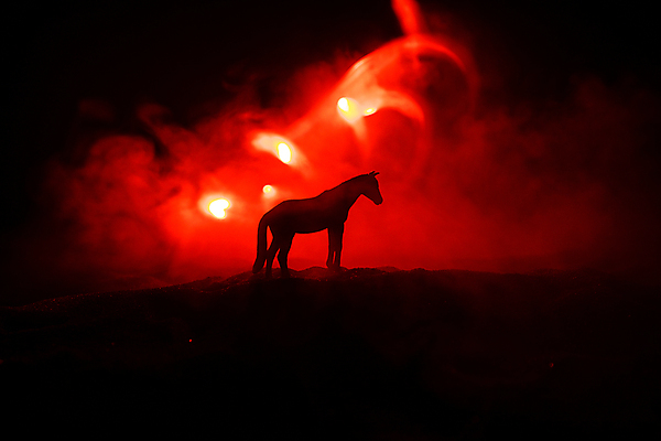 포토 JPG 해외이미지 동물 1 실루엣 백그라운드 밭 포유류 자연 하늘 불 서기 초원 사람없음 야외 장식 여름 파란색 빛 장난감 뷰티 농장 검은색 어둠 사막 자유 승마 고독 야간 심볼 싱글 갈기 당나귀 연소 기르기 무료 혼자 해외포토 자연요소 계절 감정 스포츠 컬러 컨셉 농업 모션 촬영기법 말_동물 생태계 돌봄 파일형식 이미지허브