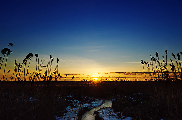 포토 JPG 해외이미지 구름 실루엣 호수 바다 백그라운드 오렌지 자연 지팡이 하늘 갈대 풍경 사람없음 야외 빨간색 물 파란색 빛 강 햇빛 태양 뷰티 반사 노란색 일출 맑음 어둠 황혼 일몰 새벽 연못 황금 저녁 신비 장면 공상 천국 빛망울 종료 수평선 해외포토 자연요소 식물 컬러 컨셉 과일 날씨 촬영기법 노을 야간 생태계 파일형식 이미지허브