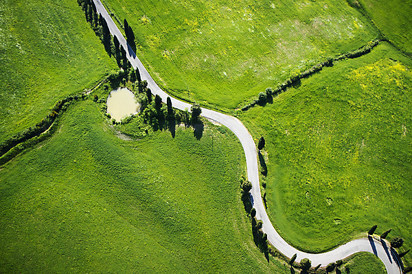 포토 JPG 해외이미지 나무 유럽 도로 여행 밭 자연 사람없음 초록색 이탈리아 커브길 항공촬영 시에나 토스카나 해외포토 식물 나라 길 뷰포인트 컬러 농업 교통시설 생태계 파일형식 이미지허브