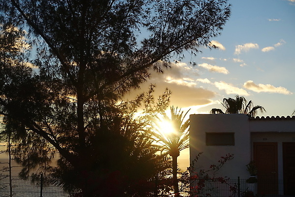 포토 JPG 해외이미지 식물 꽃 여행 하늘 날씨 휴가 3 사람없음 빛 태양 정원 천국 해외포토 자연요소 파일형식 이미지허브