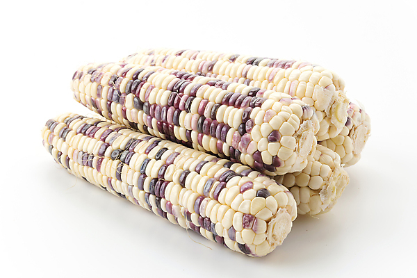 포토 JPG 해외이미지 식물 음식 백그라운드 농업 채소 과일 자연 건강 옥수수 사람없음 노란색 보라색 수확 흰색 신선 달콤 낟알 유기농 내추럴 삶기 해외포토 웰빙 산업 컬러 곡류 맛 생태계 파일형식 이미지허브