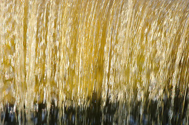 포토 JPG 해외이미지 백그라운드 패턴 모션 자연 추상 풍경 사람없음 물 강 달리기 햇빛 반사 어둠 거품 폭포 젖음 흐름 가을 연못 신선 액체 개울 황무지 닫기 떨어짐 작음 시원함 댐 순수 묘사 분수 내추럴 고립 해외포토 자연요소 계절 공공시설 컨셉 무늬 태양 크기 생태계 파일형식 이미지허브