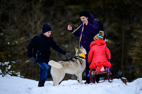 포토 JPG 해외이미지 라이프스타일 계절 공원 남자 행복 길 할머니 어린이 겨울 가족 자연 휴가 손자 손녀 함께함 건강 사랑 사람 소년 세명 걷기 산책 연도 손주 썰매타기 세대 옛날 조부모 눈내림 해외포토 공공시설 여자 노년 감정 컨셉 관계 모션 휴식 눈_날씨 생활 전통놀이 생태계 파일형식 이미지허브