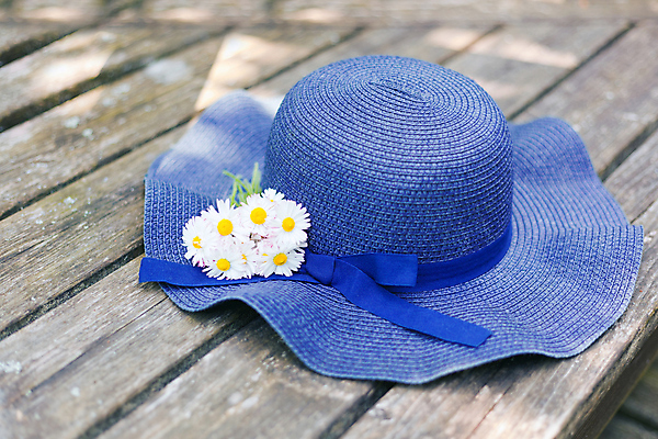 포토 JPG 해외이미지 식물 디자인 계절 꽃잎 꽃 꽃다발 꽃무늬 벤치 자연 휴가 사람없음 야외 목재 장식 파란색 컬러풀 태양 소풍 정원 맑음 봄 낭만 수확 벚꽃 신선 클래식 다발 데이지 내추럴 스타일 해외포토 자연요소 나무 컬러 컨셉 무늬 농업 의자 재료 날씨 야외활동 생태계 파일형식 이미지허브