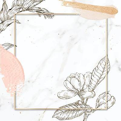 EPS 해외이미지 꽃 백그라운드 잎 일러스트 붓터치 추상 사각프레임 사람없음 흰색 라인아트 정사각형 대리석 해외일러스트 도형 식물 선 컬러 무늬 재료 프레임 사각형 파일형식 벡터 이미지허브