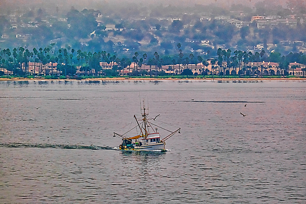 포토 JPG 해외이미지 산업 바다 여행 자연 낚시 휴가 새우 항해 어류 사람없음 물 태양 그물 어선 보트 함선 낚시꾼 해외포토 자연요소 배_교통 레저 갑각류 수중동물 생태계 파일형식 이미지허브