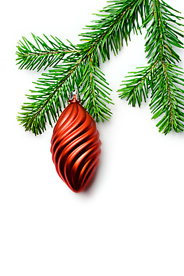 포토 JPG 해외이미지 모양 나무 식물 계절 크리스마스 겨울 휴가 새로움 새해 그림자 사람없음 장식 빨간색 초록색 장난감 축제 흰색 나뭇가지 축하 화려 숲 연도 상록수 침엽수 전나무 내추럴 고립 구성 가문비나무 해외포토 기념일 컬러 컨셉 파일형식 이미지허브