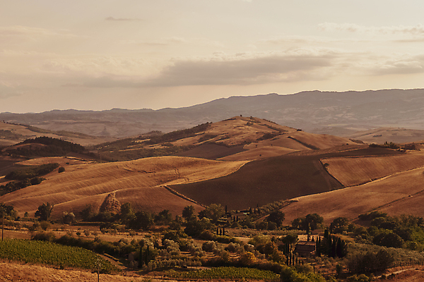 포토 JPG 해외이미지 나무 식물 계절 유럽 도로 여행 백그라운드 밭 농업 자연 하늘 아침 주택 사람없음 야외 초록색 파란색 뷰티 농가 농장 농경지 일출 와인 맑음 일몰 봄 이탈리아 시골 땅 언덕 포도밭 장면 시에나 토스카나 해외포토 주간 나라 산업 길 컬러 교통시설 날씨 주류 건물 노을 생태계 파일형식 이미지허브