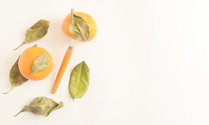 포토 JPG 해외이미지 음식 조각 백그라운드 컨셉 잎 다이어트 오렌지 과일 재료 탁자 귤 건강 사람없음 장식 초록색 노란색 우주 주스 흰색 신선 그룹 칼 달콤 맛 정상 자르기 유기농 날것 채식주의자 미니멀 맛있는 해외포토 식물 웰빙 음료 컬러 가구 모션 채식 파일형식 이미지허브