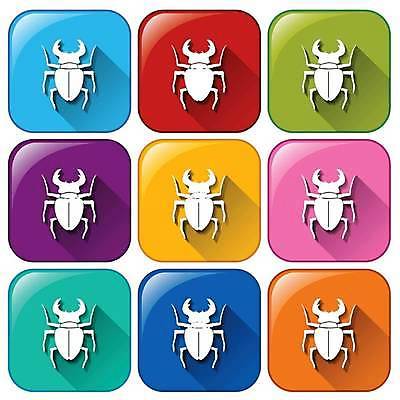 EPS 해외이미지 곤충 일러스트 버튼 사람없음 컬러풀 해외일러스트 동물 컬러 파일형식 벡터 이미지허브