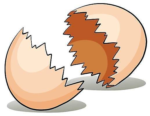 EPS 해외이미지 선 백그라운드 2 일러스트 조류 그래픽 계란 치킨 손상 껍질 흰색 원형 균열 그림 부화 고립 깨짐 암탉 지그재그 해외일러스트 도형 동물 컬러 컨셉 모션 알 닭 암컷 닭고기요리 파일형식 벡터 음식 이미지허브