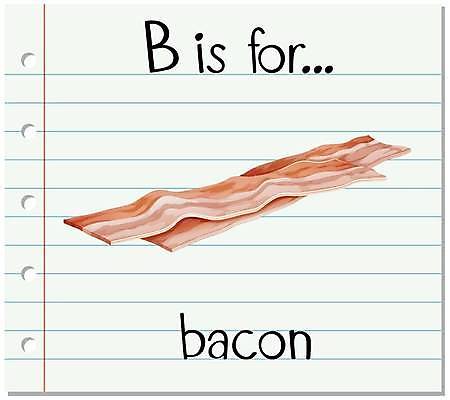 EPS 해외이미지 알파벳 영어 일러스트 영어교육 사람없음 단어 B 베이컨 단어카드 두장 해외일러스트 문자 교육 2 돼지고기 파일형식 벡터 단어장 이미지허브