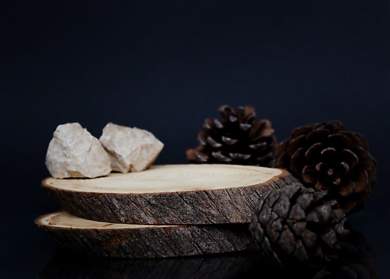 포토 JPG 해외이미지 템플릿 디자인 줄기 부분 검은배경 바닥 사람없음 목재 장식 공백 원형 거친 균열 자르기 질감 통나무 내추럴 수목 플랫레이 해외포토 도형 나무 식물 백그라운드 재료 모션 검은색 플랫 파일형식 이미지허브