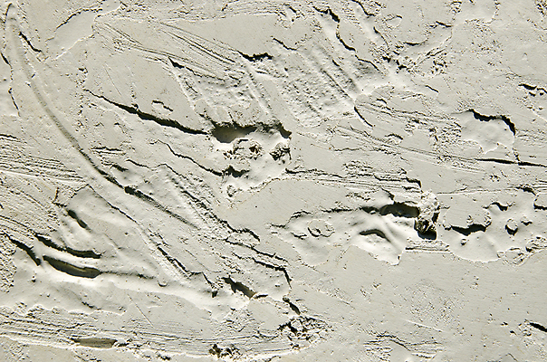 포토 JPG 해외이미지 디자인 벽 백그라운드 컨셉 패턴 건축양식 벽지 표면 추상 따뜻함 그림자 사람없음 야외 건물 가로 맑음 회색 코트 바위 흰색 시골 얼룩 거친 플랫 묘사 질감 고체 그런지 석고 어려움 울퉁불퉁 콘크리트 해외포토 건축물 건축 컬러 무늬 날씨 외투 돌_바위 파일형식 이미지허브