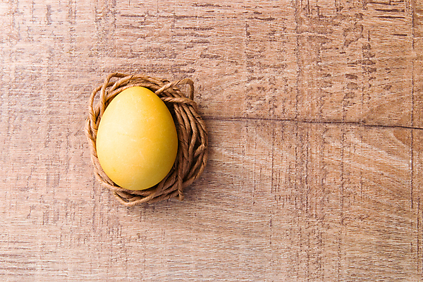 포토 JPG 해외이미지 실내 사람없음 한개 계란 둥지 나무배경 해외포토 1 백그라운드 내부 알 파일형식 이미지허브