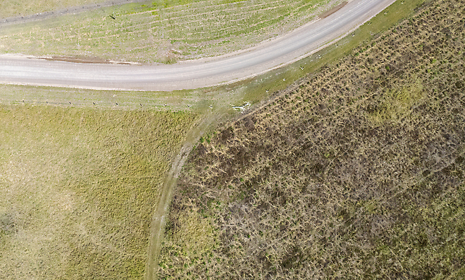 포토 JPG 해외이미지 나무 도로 모래 여행 곡선 자연 휴가 건조 안테나 사람없음 야외 모래사장 캠핑 운전 탐험 뜨거움 호주 먼지 멀리 탐사 서식지 굴곡 드론 해외포토 식물 길 선 바다 통신 교통시설 모션 레저 오세아니아 생태계 파일형식 이미지허브