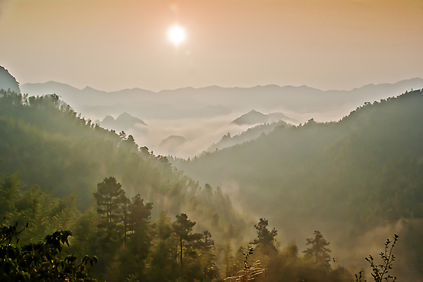 포토 JPG 해외이미지 나무 구름 산 사람없음 초록색 태양 일출 중국 안개 개울 숲 대나무 에코 해외포토 자연요소 식물 아시아 컬러 날씨 강 노을 환경 파일형식 이미지허브