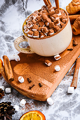 포토 JPG 해외이미지 회색배경 사람없음 컵 쿠키 카페 머그컵 향신료 솔방울 마시멜로우 나무도마 시나몬 시나몬스틱 코코아가루 해외포토 식기 백그라운드 디저트 도마 목재 상점 회색 가루 향미료 파일형식 이미지허브