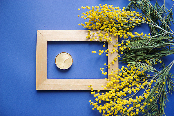 포토 JPG 해외이미지 식물 디자인 계절 기념일 꽃 행복 꽃다발 백그라운드 컨셉 잎 꽃무늬 자연 휴가 선물 사람없음 장식 초록색 파란색 빛 노란색 우주 봄 벚꽃 나뭇가지 신선 신용카드 4월 다발 배열 꽃집 심볼 원예 내추럴 플랫레이 카피스페이스 해외포토 나무 감정 컬러 무늬 이벤트 취미 금융 상점 공백 날짜 플랫 생태계 파일형식 이미지허브