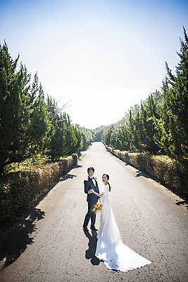 포토 JPG 주간 전신 응시 여자 남자 행복 부케 웨딩드레스 결혼 하늘 사랑 서기 미소 정장 턱시도 20대 성인 야외 두명 옆모습 30대 제주도 손잡기 한국인 뒤돌아보기 나무길 신랑신부 성인만 웨딩촬영 국내포토 자연요소 시선 드레스 옷 감정 길 신부_웨딩 뷰포인트 꽃다발 신랑 모션 한국 표정 사람 동양인 이벤트 청년 장년 기념사진 파일형식