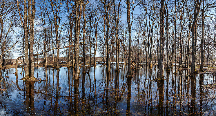 포토 JPG 해외이미지 나무 식물 계절 공원 여행 백그라운드 겨울 하늘 풍경 사람없음 야외 목재 물 파란색 강 뷰티 반사 봄 가을 흰색 연못 황무지 눈내림 해외포토 자연요소 공공시설 컬러 재료 눈_날씨 파일형식 이미지허브