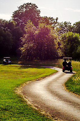 포토 JPG 해외이미지 나무 라이프스타일 계절 도로 스포츠 여행 밭 골프 자동차 자연 놀이 휴가 풍경 잔디 초원 사람없음 야외 초록색 여름 침묵 카트 장비 가을 바퀴 벙커 구멍 거친 사회 강의 클럽 장면 넣기 땅바닥 목록 플레이어 완전 해외포토 식물 길 육상교통 컬러 컨셉 농업 교통시설 모션 골프장 바닥 생활 구기 소리 생태계 공동체 파일형식 이미지허브