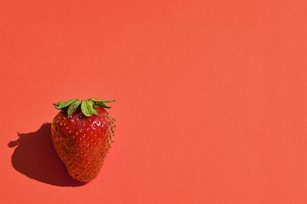 포토 JPG 해외이미지 열매 음식 분홍색 백그라운드 패턴 과일 딸기 디저트 건강 사람없음 빨간색 초록색 여름 신선 산호 닫기 달콤 맛 자르기 유기농 내추럴 숙성 채식주의자 플랫레이 세련 맛있는 해외포토 식물 웰빙 계절 컬러 컨셉 무늬 모션 플랫 자포동물 채식 파일형식 이미지허브