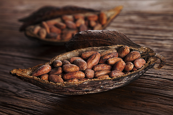 포토 JPG 해외이미지 디저트 사람없음 아웃포커스 나무탁자 카카오열매 나무배경 해외포토 열매 음식 백그라운드 탁자 촬영기법 카카오 파일형식 이미지허브