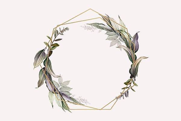 EPS 해외이미지 잎 일러스트 프레임 사람없음 분위기 고급 감성 다각형 베이지색 보테니컬아트 해외일러스트 도형 식물 컬러 컨셉 파일형식 벡터 이미지허브