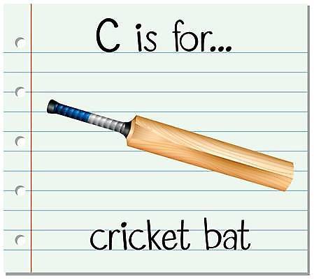 EPS 해외이미지 알파벳 영어 일러스트 영어교육 사람없음 단어 방망이 C 단어카드 크리켓 해외일러스트 문자 교육 구기 파일형식 벡터 단어장 이미지허브