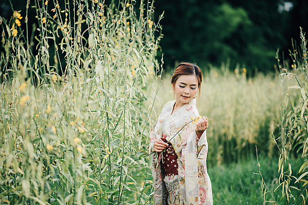 포토 JPG 해외이미지 나무 1 전통 드레스 옷 공원 여자 꽃 아시아 문화 여행 자연 휴식 한명 사람 동양인 야외 컬러풀 뷰티 유행 정원 일본 수확 기모노 대나무 게이샤 교토 해외포토 식물 공공시설 나라 컬러 컨셉 농업 인종 일본전통의상 생태계 파일형식 이미지허브