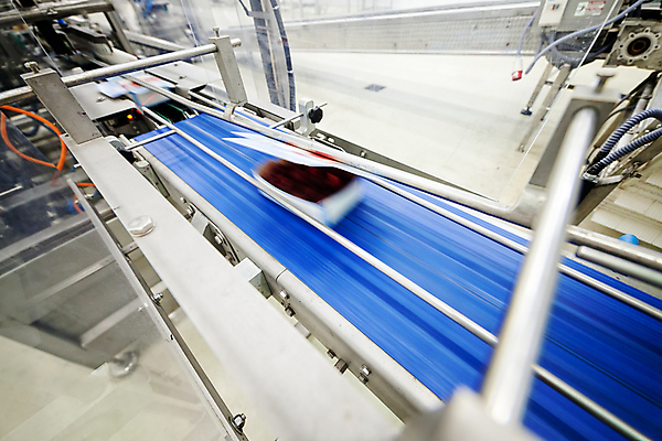 포토 JPG 해외이미지 공장 사람없음 냉동 기계 제조 속도 담기 산딸기 포장용기 식품공장 냉동식품 해외포토 음식 과일 공업 모션 포장재료 파일형식 이미지허브