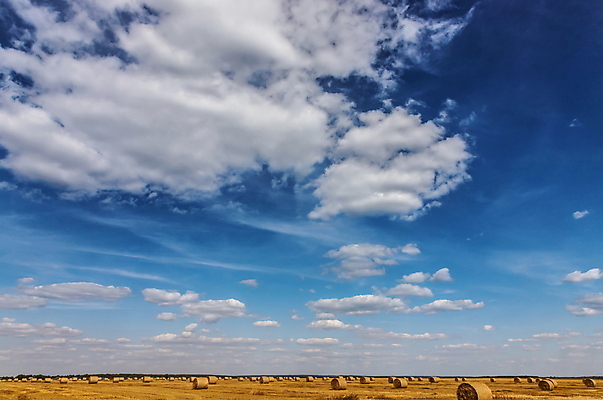 포토 JPG 해외이미지 식물 계절 산업 음식 밭 농업 자연 하늘 건조 풍경 초원 사람없음 야외 초록색 여름 파란색 농작물 농장 농경지 노란색 환경 맑음 수확 성장 가을 시골 황금 건초더미 볏짚 낟알 땅 자르기 밀 유기농 보리 뭉치 밀짚 내추럴 밭일 호밀 해외포토 웰빙 컬러 모션 날씨 곡류 건초 짚 생태계 파일형식 더미 이미지허브