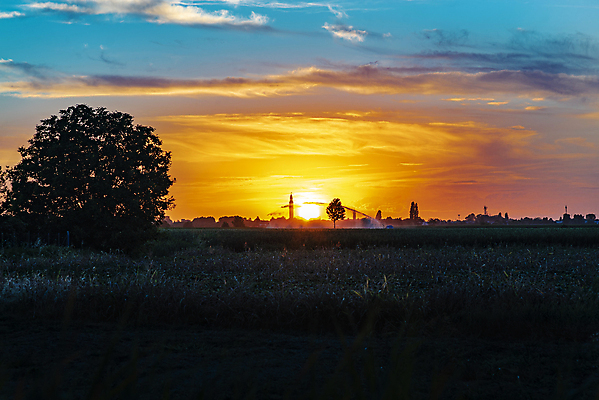 포토 JPG 해외이미지 나무 밭 자연 하늘 아침 사람없음 야외 햇빛 태양 농장 일출 맑음 시골 땅 해외포토 주간 자연요소 식물 농업 날씨 노을 생태계 파일형식 이미지허브